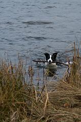IMG_2786